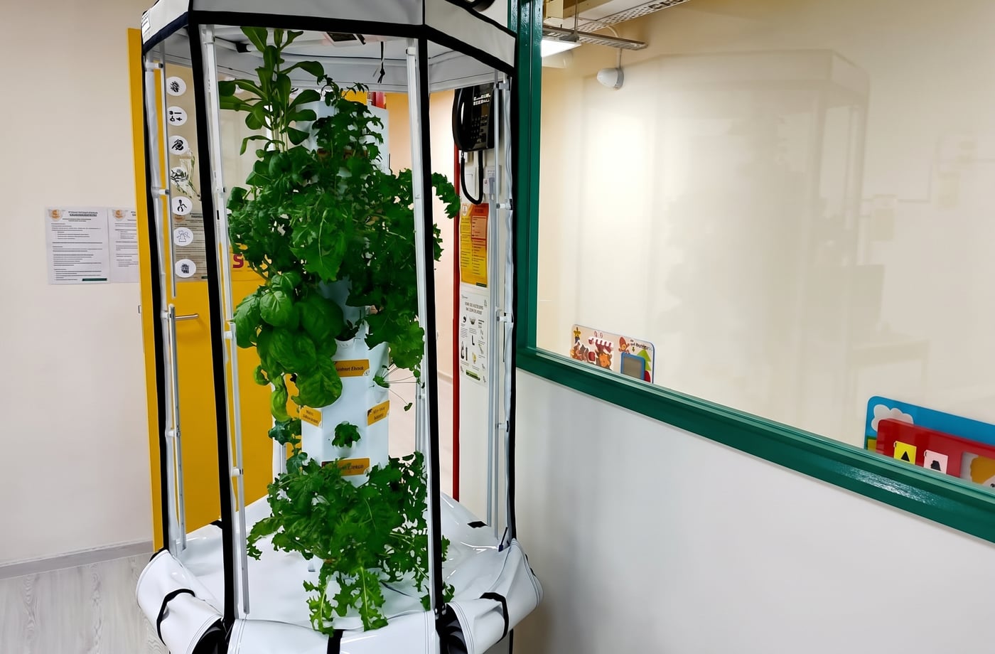 走廊里的室内垂直花园