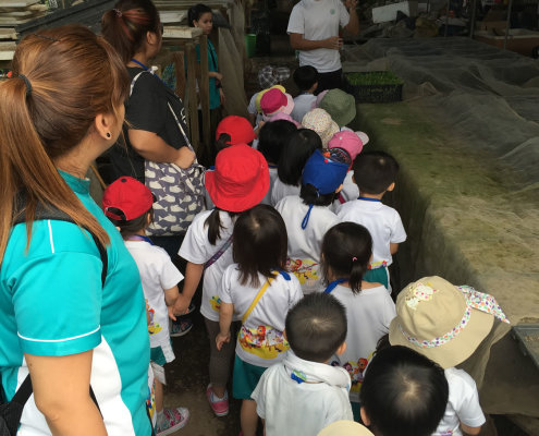QuanFaOrganicFarm_ChildFirst@Dunearn_02
