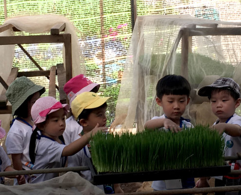 QuanFaOrganicFarm_ChildFirst@Dunearn_04