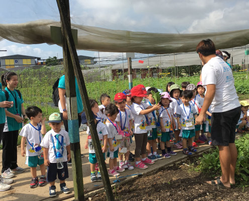 QuanFaOrganicFarm_ChildFirst@Dunearn_08