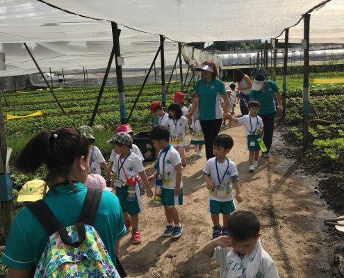 QuanFaOrganicFarm_ChildFirst@Dunearn_09