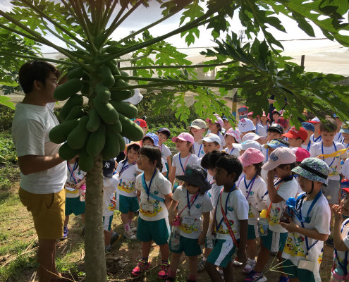 QuanFaOrganicFarm_ChildFirst@Dunearn_11