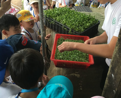 QuanFaOrganicFarm_ChildFirst@Dunearn_15