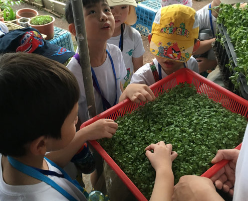 QuanFaOrganicFarm_ChildFirst@Dunearn_16