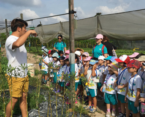QuanFaOrganicFarm_ChildFirst@Dunearn_17