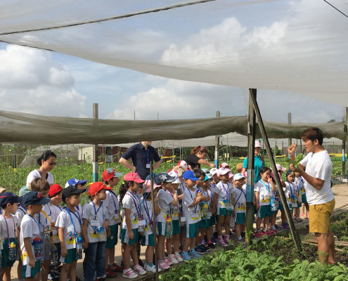 QuanFaOrganicFarm_ChildFirst@Dunearn_18