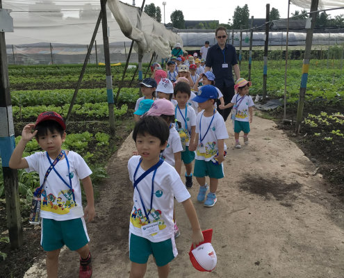 QuanFaOrganicFarm_ChildFirst@Dunearn_19