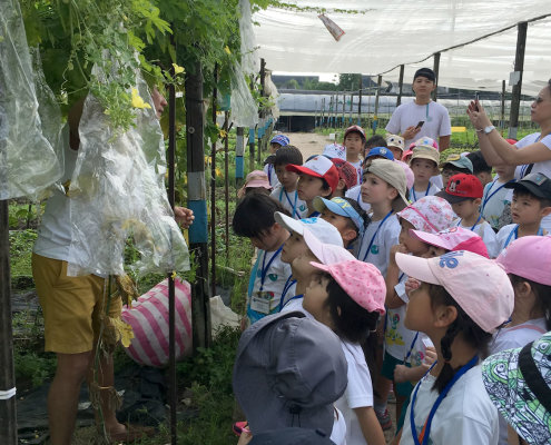 QuanFaOrganicFarm_ChildFirst@Dunearn_20