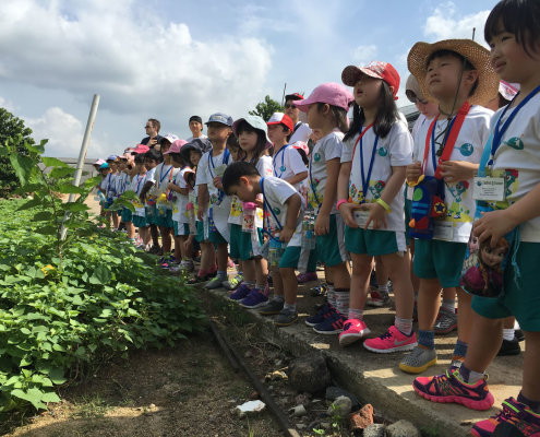 QuanFaOrganicFarm_ChildFirst@Dunearn_21