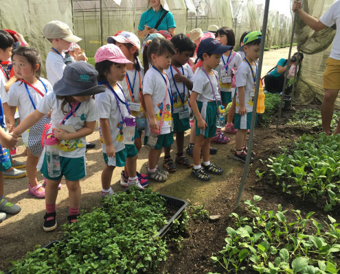 QuanFaOrganicFarm_ChildFirst@Dunearn_22