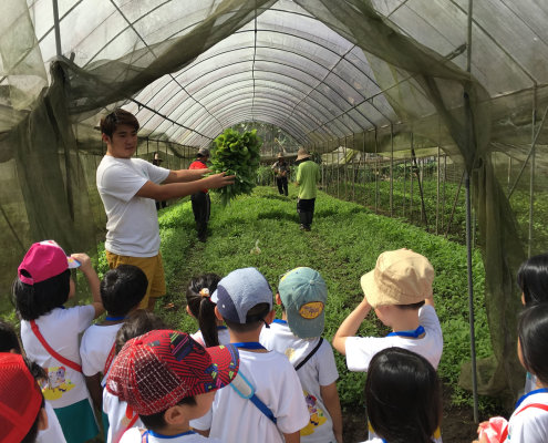 QuanFaOrganicFarm_ChildFirst@Dunearn_23