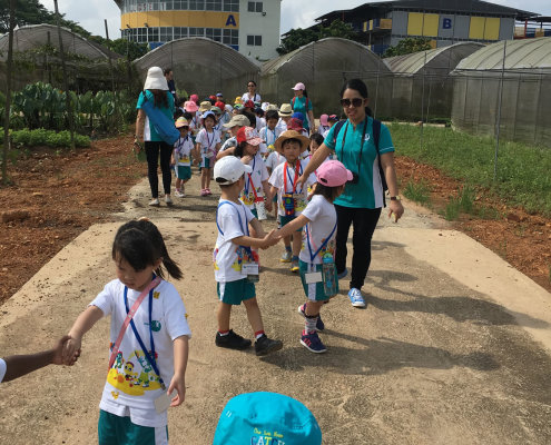 QuanFaOrganicFarm_ChildFirst@Dunearn_24
