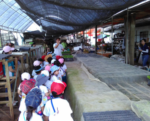 QuanFaOrganicFarm_ChildFirst@Dunearn_25