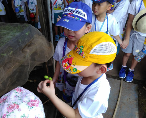QuanFaOrganicFarm_ChildFirst@Dunearn_26