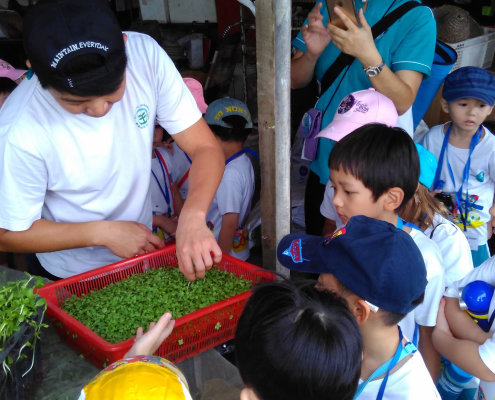QuanFaOrganicFarm_ChildFirst@Dunearn_27