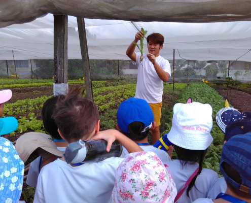 QuanFaOrganicFarm_ChildFirst@Dunearn_30