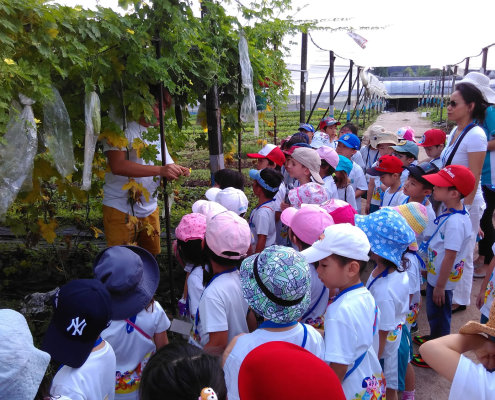 QuanFaOrganicFarm_ChildFirst@Dunearn_31