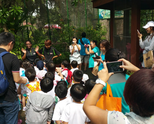 ButterflyPark_ChildFirst@Tampines_02