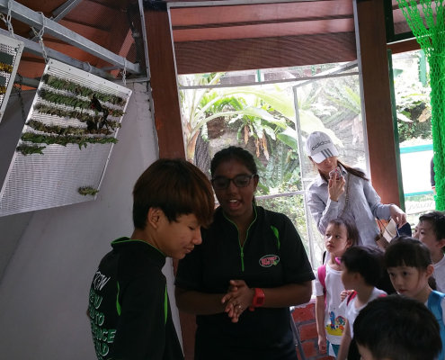 ButterflyPark_ChildFirst@Tampines_03