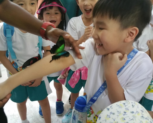 ButterflyPark_ChildFirst@Tampines_04