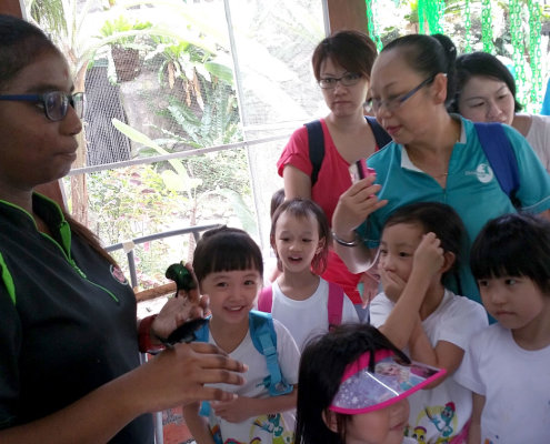 ButterflyPark_ChildFirst@Tampines_05