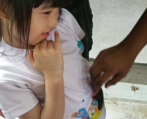 ButterflyPark_ChildFirst@Tampines_06