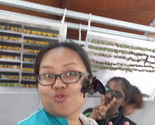 ButterflyPark_ChildFirst@Tampines_07