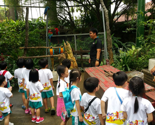 ButterflyPark_ChildFirst@Tampines_09