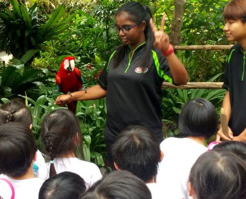 ButterflyPark_ChildFirst@Tampines_10