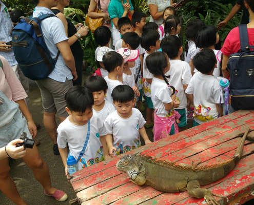 ButterflyPark_ChildFirst@Tampines_11