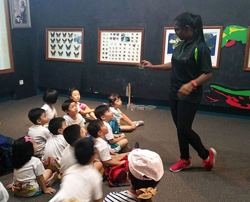 ButterflyPark_ChildFirst@Tampines_13