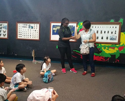 ButterflyPark_ChildFirst@Tampines_14